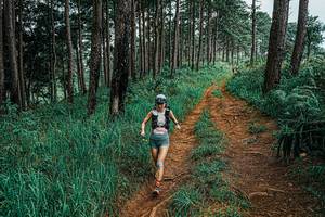 BIB: 
                            <button type="button" onclick="openModal(25707821)" class="btn btn-primary btn-sm float-right btn-popup" data-toggle="modal" data-target=".modal-high-quality">
                        <i class="fas fa-shopping-cart"></i> Add to Cart
                    </button>
                                            <button type="button" onclick="isThisMe(25707821, true)" class="btn btn-success btn-sm float-right btn-popup btn-isme hidden" data-toggle="tooltip" data-placement="bottom" title="นี่คือรูปของคุณใช่ไหม คลิกที่นี่เพื่อเอาเข้าอัลบั้ม">
                        <i class="fas fa-plus"></i> Add to album
                    </button>
                    <button type="button" onclick="isThisMe(25707821, false)" class="btn btn-warning btn-sm float-right btn-popup btn-isnotme hidden">
                        <i class="fas fa-ban"></i> Remove from album
                    </button>